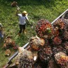 Indian migrant worker alleges forced labour ‘up to 20 hours a day’ in Sibu factory