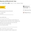 Why does a construction worker hold a ‘professional visa’?